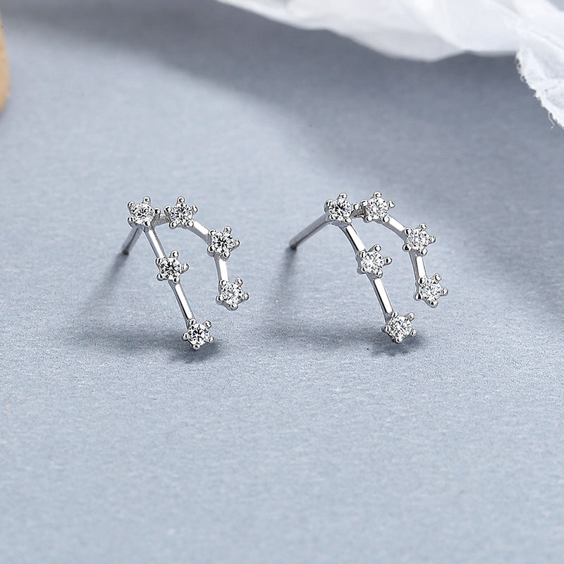 S925 sterling silver with platinum plating and twelve zodiac signs earrings | Imitation diamond interstellar lucky earrings