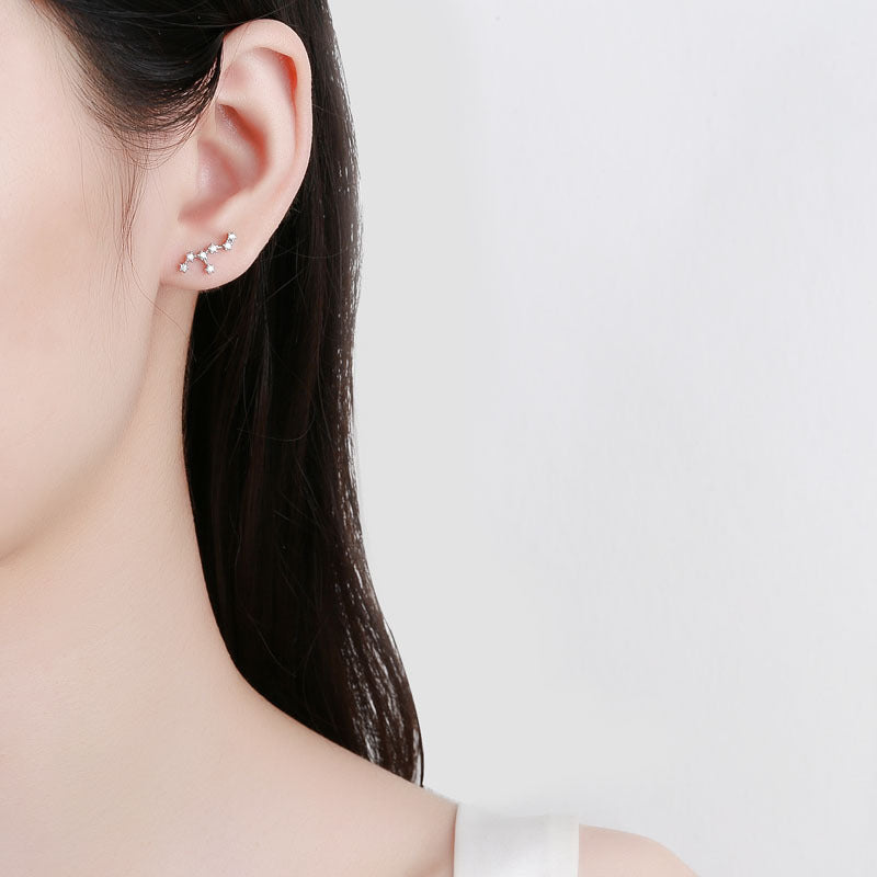 S925 sterling silver with platinum plating and twelve zodiac signs earrings | Imitation diamond interstellar lucky earrings