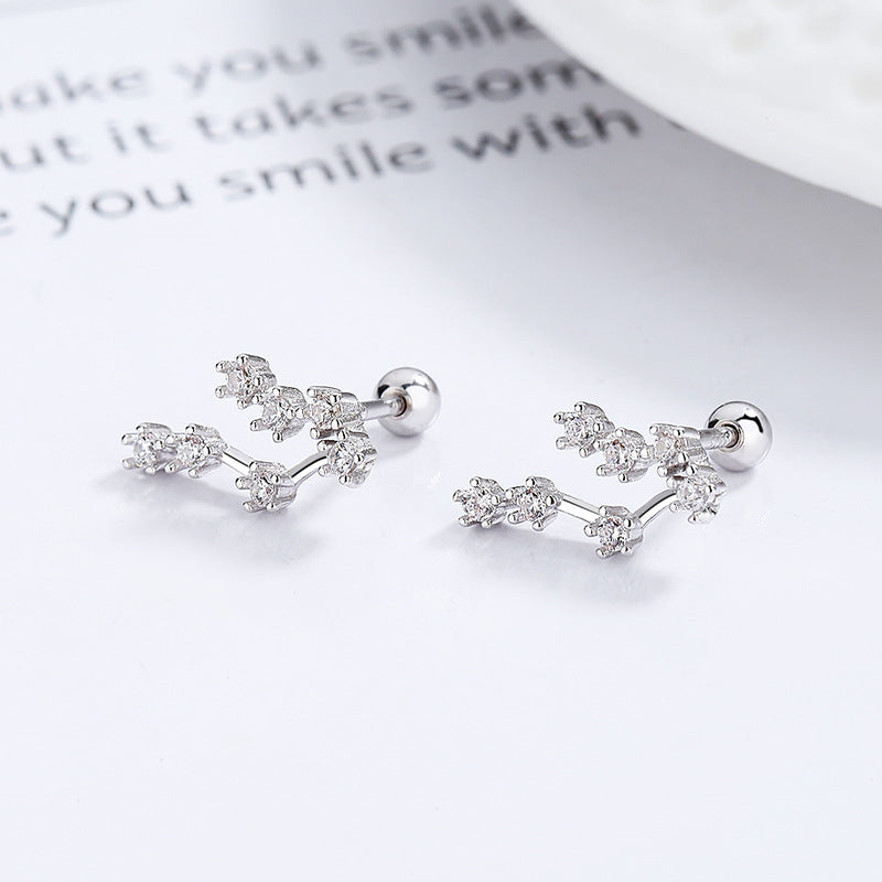 S925 sterling silver with platinum plating and twelve zodiac signs earrings | Imitation diamond interstellar lucky earrings