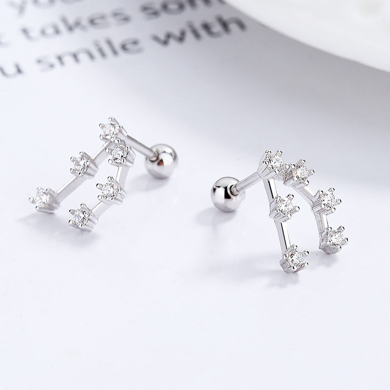 S925 sterling silver with platinum plating and twelve zodiac signs earrings | Imitation diamond interstellar lucky earrings