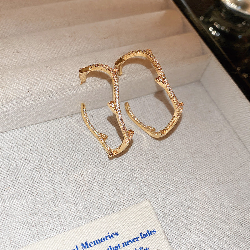 銀針輕奢鋯石几何蝴蝶花朵流蘇耳釘個性冷淡風耳環歐美高級感耳飾